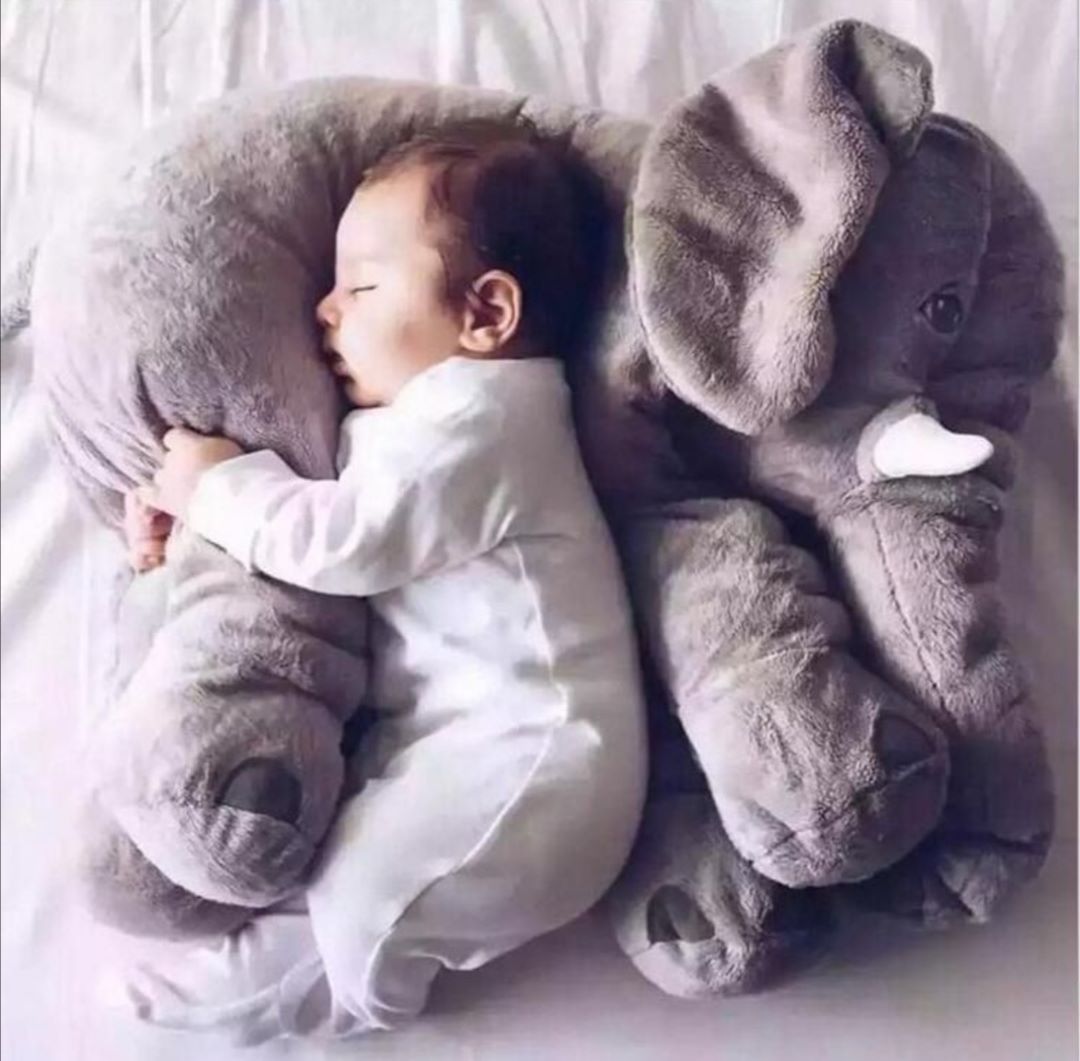 Elefante de Apego
